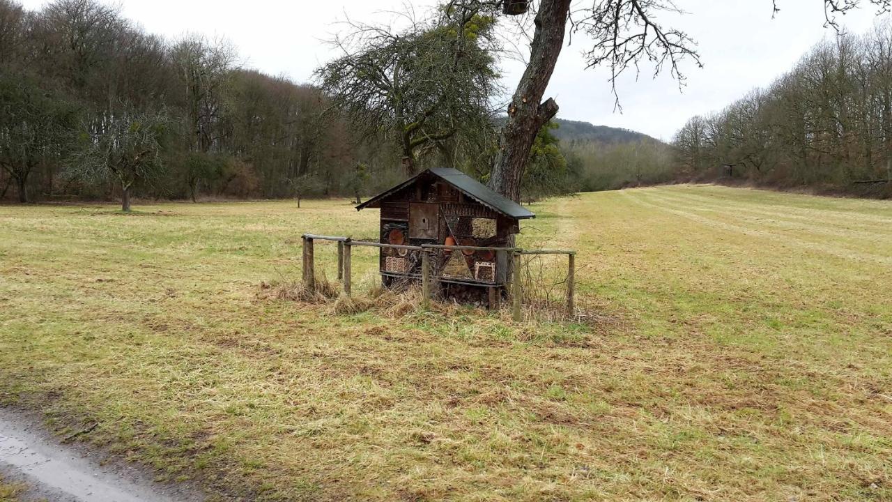 Haus mit Seele im Nahetal Weinsheim  Exterior foto